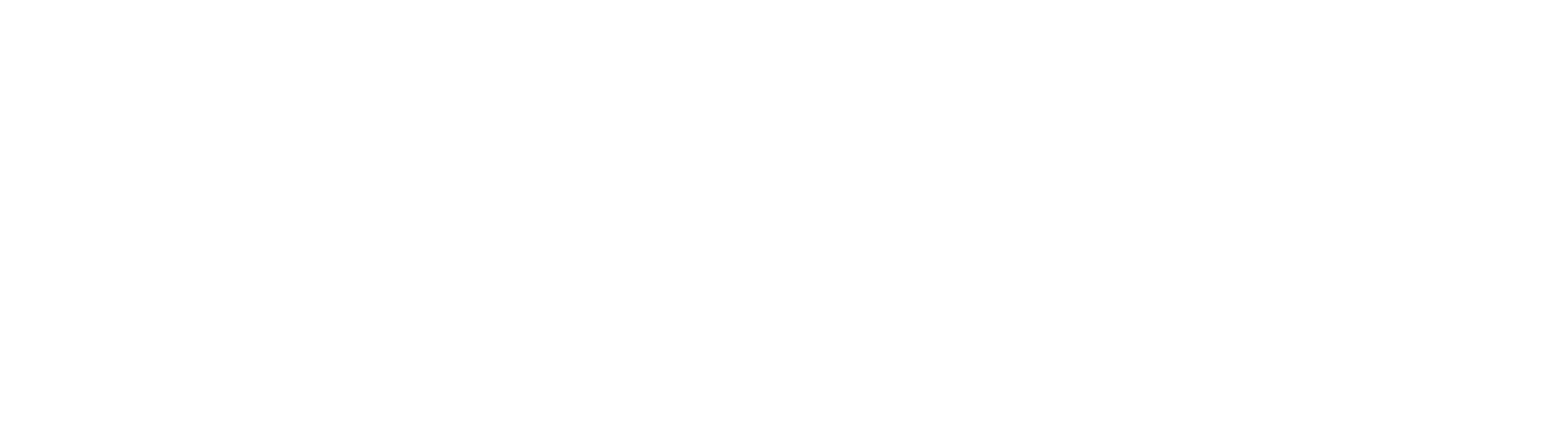 Shiseido Logo